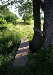 Bolimowski Park Krajobrazowy … Więcej Ścieżka z kładką w Bolimowskim Parku Krajobrazowym, okolice Żyrardowa