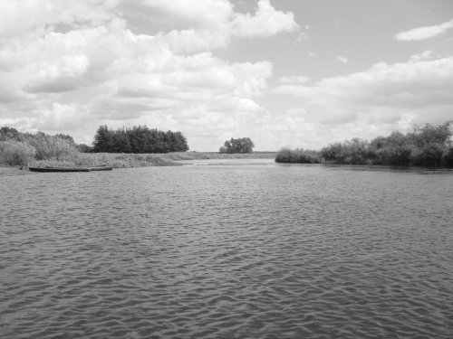 Narew jak z „Konopielki” E. Redlińskiego
