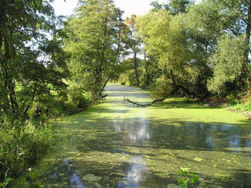 Bolimowski Park Krajobrazowy Bolimowski Park Krajobrazowy