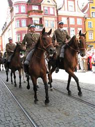 Miasto ma wspaniałe tradycje kawaleryjskie, kultywowane także przez młode pokolenie Miasto ma wspaniałe tradycje kawaleryjskie, kultywowane także przez młode pokolenie